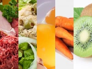 Vitamina E - alimentos